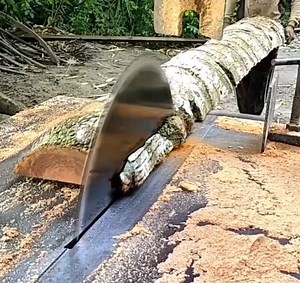 346K views · 835 reactions | Amazing skill cutting wood by team work | Making Video | Facebook