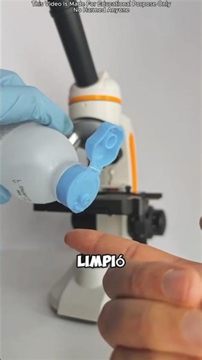 ¡Cómo eliminar rápidamente los ácaros del polvo de tu sofá! 🛋️🦠 #shortvideo