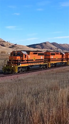 3446 leads RCPE belle turn at Deer view rd #train #rcpe #railroad