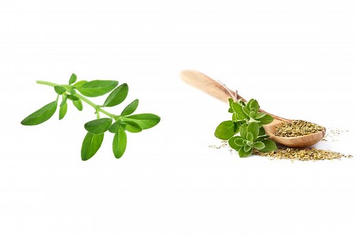 Thyme vs Oregano: What's the Difference