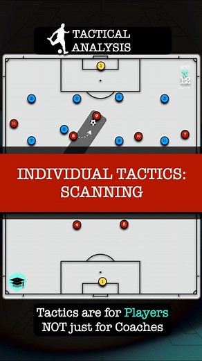 Individual Tactics: Scanning | N12 Tactics