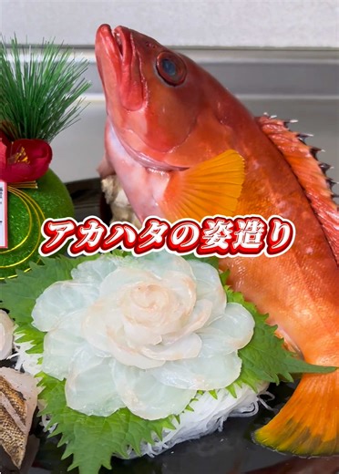 鮮やかな色のアカハタ🟥を使って お正月イメージに姿造りをしました🐟🎍 #アカハタ #ハタ #姿造り #お正月 #魚捌き方