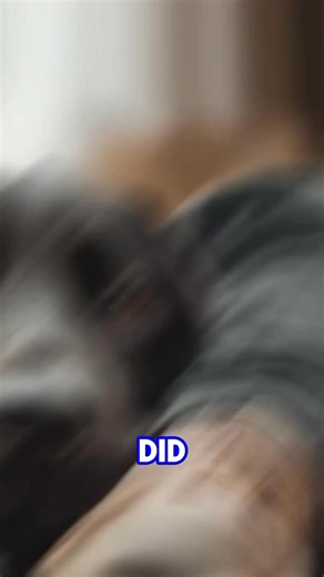 Did God create the dogs as living reminder of his love #reels | Realbiblestories