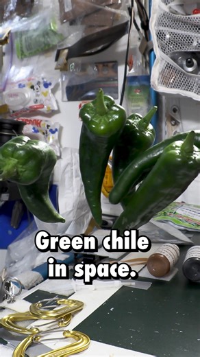 Local roots. Stellar fruit. 🌶️🚀 #NMChile #NMCertifiedChile #onlyinNM #NewMexico | New Mexico Chile Association