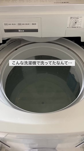 洗濯槽クリーナーで驚きの清潔感