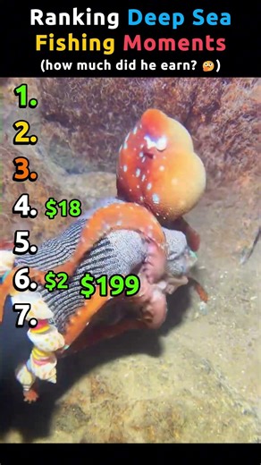 Ranking Deep Sea Fishing Moments Pt.4 | wonder how much did he earn? 😵‍💫#deepseafishing