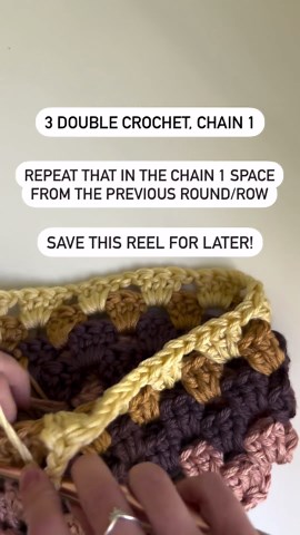 Shannon | Dogwood Crochet on Instagram: "Here’s how to crochet a granny cluster stitch The granny cluster stitch consists of 3 double crochet followed by a chain 1. You work the 3 double crochet into the chain 1 space from the previous row/round. Save this reel for later and check out my Granny Plant Basket crochet pattern! Links in bio . . . #crochet #crochetpattern #crochetgrannystitch #crochetbasket #dogwoodcrochet"
