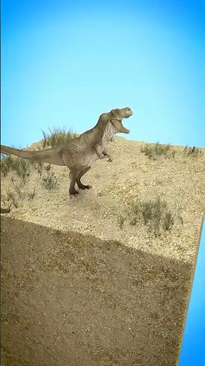 How Fossils Are Made 😳 | 3D Science Explained