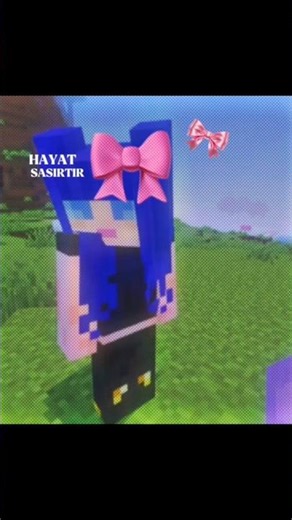 Pookie 🎀 #minecraft #viral #funny #pookie