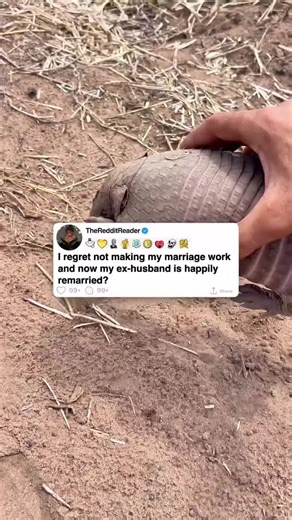 Regrets of a Failed Marriage and Moving On