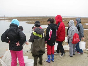 Best Spring Break Activities & Tips