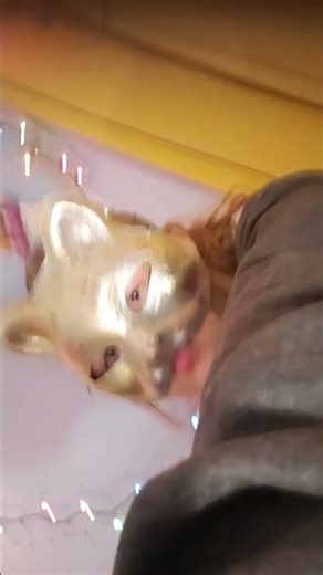 360° dance, wanna a tutorial? #tutorial #360 dance #furry #therain