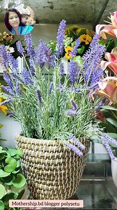 Decoder Home is your one-stop destination for stylish, modern, and meaningful home decor. From handcrafted pieces to smart design solutions, we help you decode comfort, creativity, and elegance – all under one roof. Perfect for those who believe home should tell a story. #videoviralシviralシ2025 #videos #videoreelsシ Part 2 | Mothership.bd Blogger PolySetu | Facebook