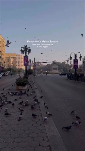 2.6K views · 35 reactions | Morning scenes from Downtown Cairo ️ The city wakes up to the sound of pigeons, tea cups, and street chatter — just another day in the heart of Egypt ✨  @abdalhayalhouseini  Downtown Cairo | Egypt shots | Facebook