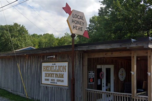 Bee Yard Massacre: Arsonist Torches Beaver County Hives, Killing Tens Of Thousands