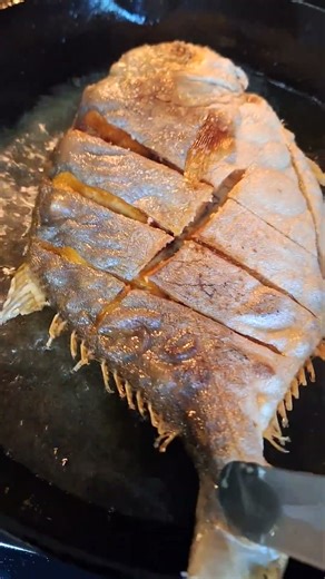 Frying POMPANO #fish #asmrsounds #satisfying #youtubeshorts #delicious