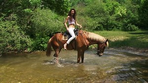 Woman Ahorse Posing Riverposing River Stock Footage Video (100% Royalty-free) 3423926 | Shutterstock