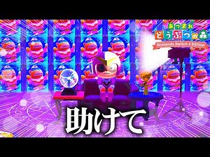 妹がぶっ飛んでるガチ勢リスナーの島がヤバすぎる。【あつまれどうぶつの森 / あつ森】