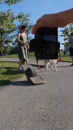 4.5K views · 272 reactions | just upgraded my camera sling bag. Thanks guys, much love 﫶. Been using their gear for years and I highly recommend :) #dogtok #viral #dog #reels #pets #viral | Keegan Robin | Facebook