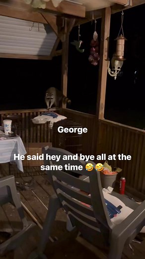 #coon George ! | Megan Barber