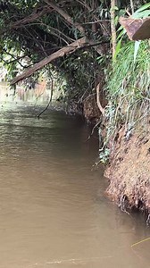 3.6M views · 10K reactions | Tampaknya predator sedang dikejar ikan ikan kecil | Fayz Fishing Adventure | Facebook