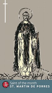 St Raphael Catholic School on Reels | Facebook