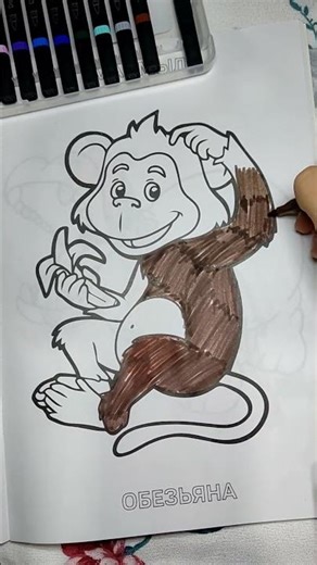 Coloring Monkey Fun ‪@animalhomemonkey6635‬