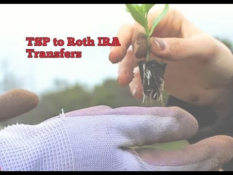 Transferring a Traditional TSP to a Roth IRA