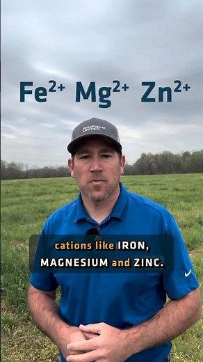 Your Water Might Be Affecting Your Herbicide