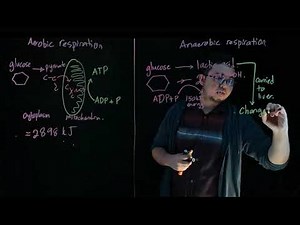 BIOLOGY | Form 4 Chapter 7: Cellular Respiration