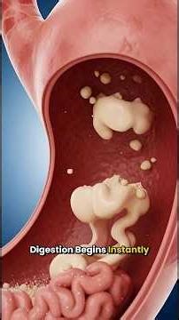 🍩 What a Donut Does Inside Your Body in 30 Seconds