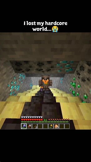 Minecraft moment...😭