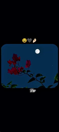 Kalank Title-Track lyrics #viral #love #lyricalzone #best #bestlyrics #arijitsing#pritamchakraborty