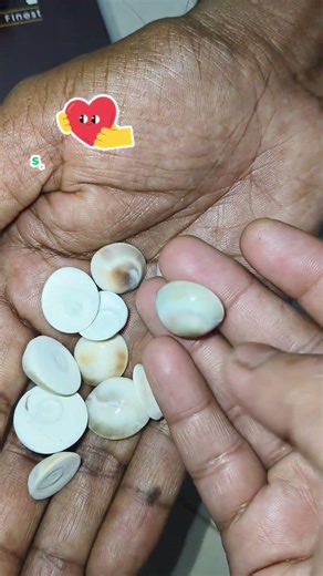 శంఖం - Conch&గోమతి చక్రం - GomtiChakra #viral #conchshell #gomatichakra #devotional #pooja #trending