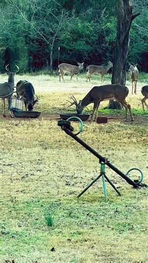 Quiet sitting watching waiting listening patient minion training is tough. #adventure #outdoors #nature #kids #training