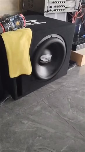 12 in CT subwoofer excursion #russiansoundkenya #subwoofer #excursions #12inch #ct | Russian Sound Kenya