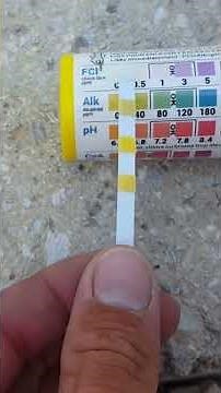 Piscine verte ? On vous montre comment réagir ! 💦