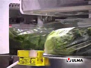 Baby lettuce packaging in flow pack wrapper (HFFS)
