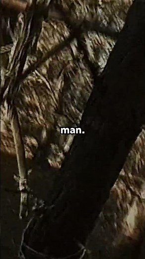 Stick Figures | The Blair Witch Project