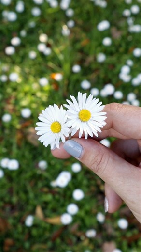 1.6K views · 16 reactions |  Hello, Spring! It’s the season of...