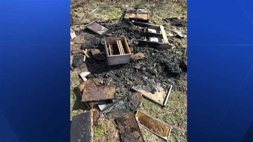 'Heartbreaking': Family-owned beehive farm in Western Pa. intentionally destroyed by fire