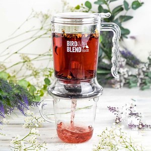 Brewdini Gravity Steeper | Bird & Blend Tea Co.