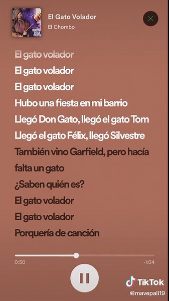 El Gato Volador: Letra y Música de El Chombo