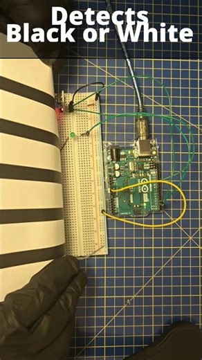 This Is How Line-Tracking Robots See