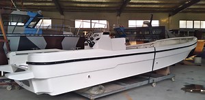 [Hot Item] 9.5m Fiberglass River Boat Fishing Boat