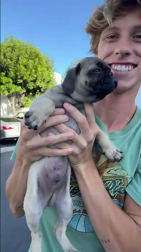 A Star is Born🤩 Check out our pup in the new video