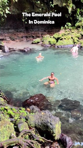 The Beautiful Emerald Pool In Dominica | A Stops On My Caribbean Cruise With Princess Cruises