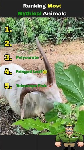 Ranking Most Mythical Animals ✨️🦄