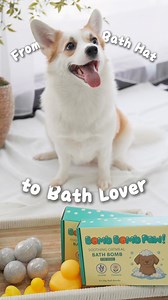 67K views · 535 reactions |  Turn Bath Time into a Pup-Spa! Bath...