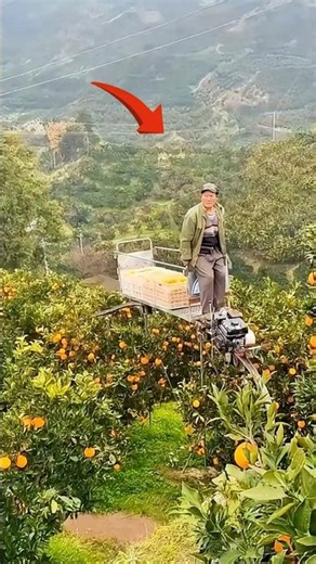 "Farmers already use rails… like trains to harvest crops!"